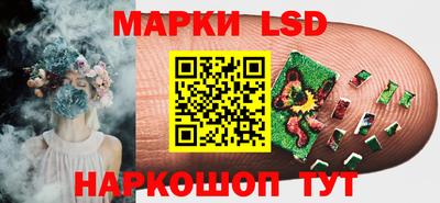 прущие грибы Краснокаменск