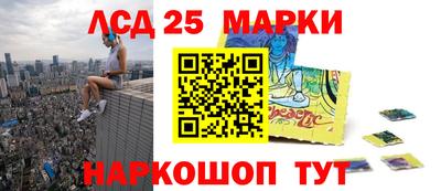 прущие грибы Краснодар