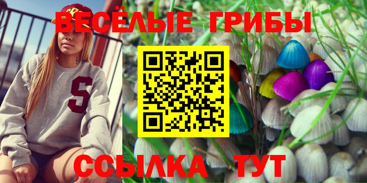цена   Вход с VPN  Псилоцибиновые грибы MAGIC MUSHROOMS  Истра  Галлюциногенные грибы Psilocybine cubensis 